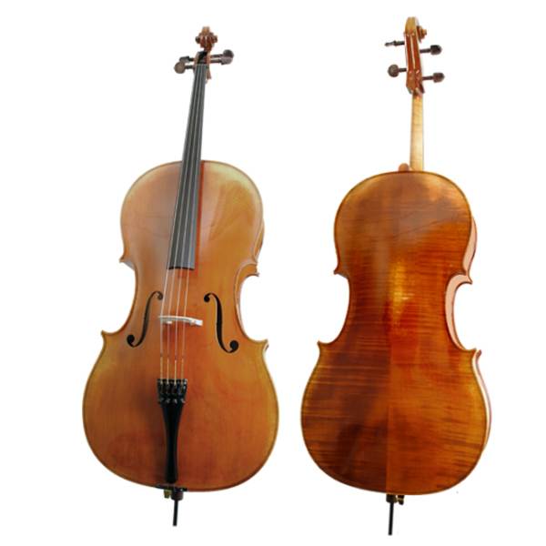 best cello on rent jaipur