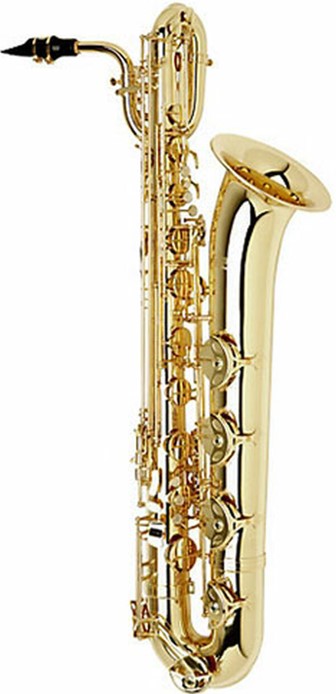 good saxophone on rent jaipur