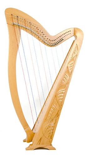 best harp on rent jaipur