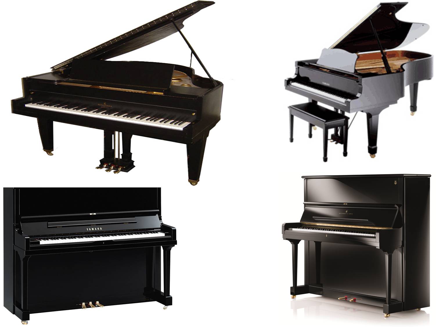 best piano on rent jaipur